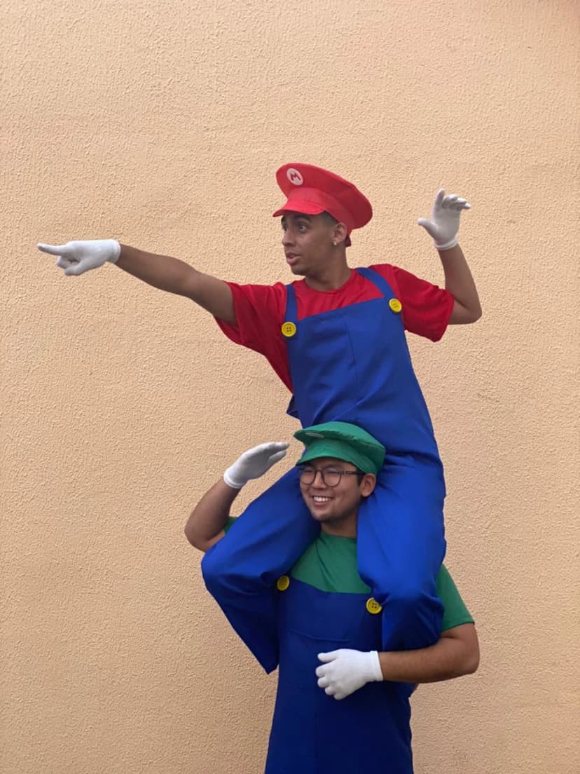 Mario e Luigi